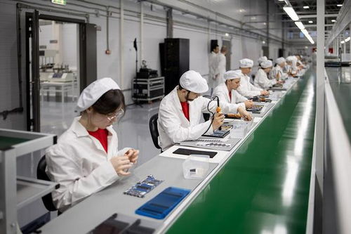 因诺波利斯 代码编织的未来之城